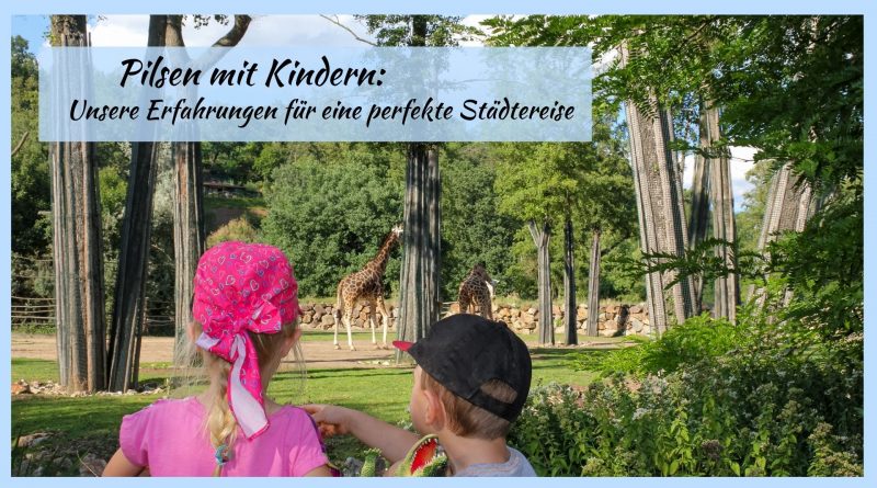 Pilsen mit Kindern 3 Tage voller Highlights - Zoo, DinoPark und Tipps, Kinder schauen sich Giraffen im Zoo Pilsen an