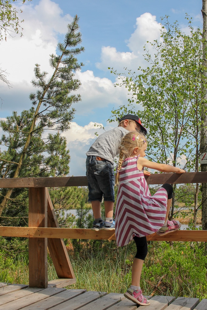 Reisen mit Kindern, Ausflüge mit Kindern, Ausflug im Schwarzwald, Ausflugstipps Schwarzwald, Schwarzwald, Baden-Württemberg, Ausflugstipps im Schwarzwald mit Fürstenberg Natur Radler