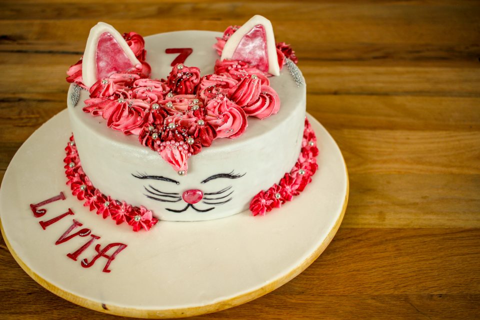 Motivtorte Katze, Torte Pink, Torte Katze, Katzenkuchen, Kindergeburtstag, Katzenfan, Kuchen für Katzenfan, Kuchen der wie eine Katze aussieht, Schokoladenkuchen mit Vanillecreme