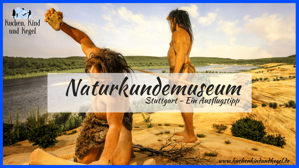 Naturkundemuseum Stuttgart - Ein Ausflusgstipp für schlechtes Wetter, Herbst und Winter, Ausflug mit Kindern, Museum für Naturkunde, Museum Dinosaurier, Museum Tiere