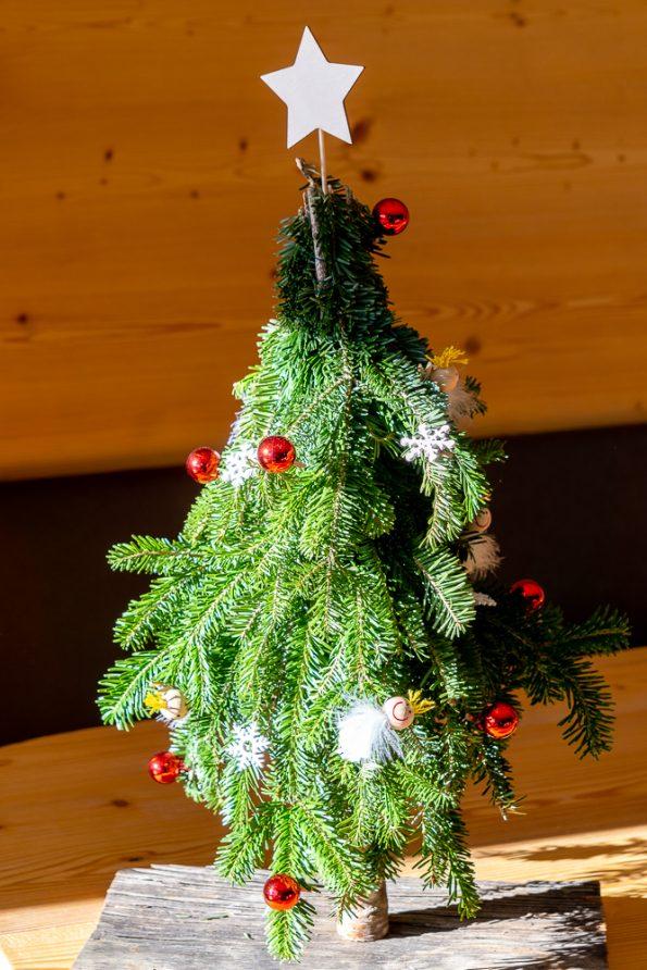 Hotel-Alpenhof-Familien-Weihnachten-in-Suedtirol-Italien-Meransen-Familienhotel-Reisen-mit-Kindern-Verreisen-an-Weihnachten-Weihnachten-im-Hotel
