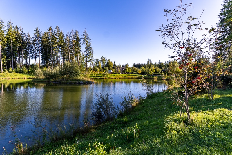 Center Parcs Allgäu mit Kindern, unser Erfahrungsbericht für Familien - Hier kann man Boot fahren