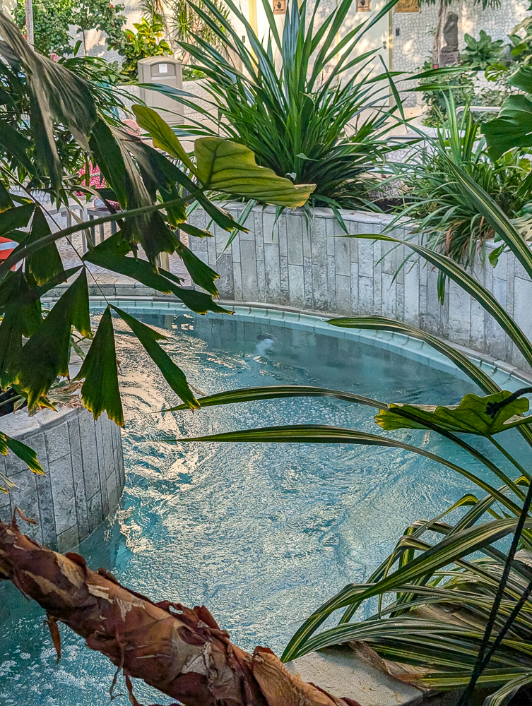 Center Parcs Allgäu mit Kindern, unser Erfahrungsbericht für Familien - Aqua Mundo Center Parcs Allgäu Strudel