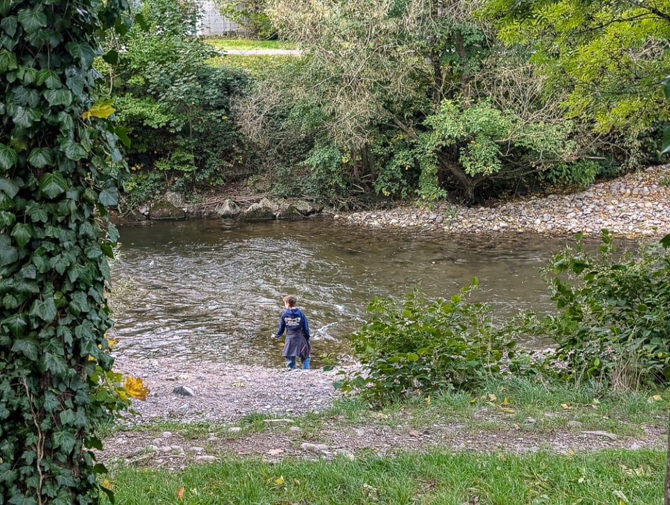 Mit Kindern in Freiburg Warum die Jugendherberge der perfekte Ausgangspunkt für Familien ist, Dreisam an der Jugendherberge