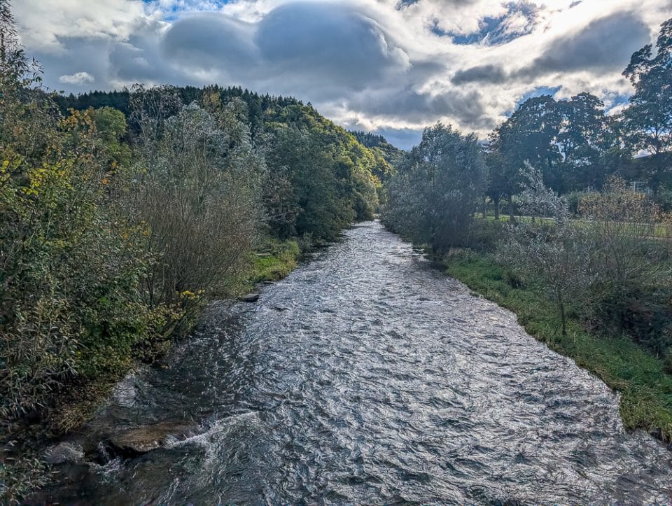 Mit Kindern in Freiburg Warum die Jugendherberge der perfekte Ausgangspunkt für Familien ist, Dreisam in Freiburg