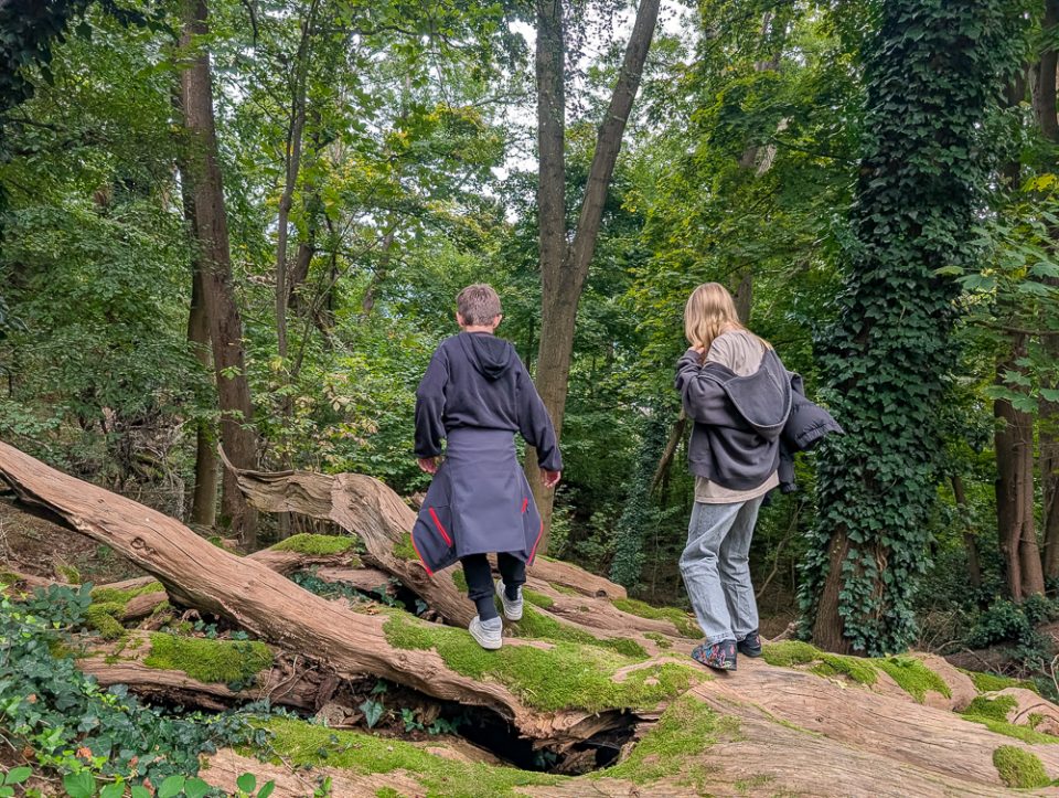 Mit Kindern in Freiburg Warum die Jugendherberge der perfekte Ausgangspunkt für Familien ist, Schlossberg Freiburg, Die Natur als Spielplatz