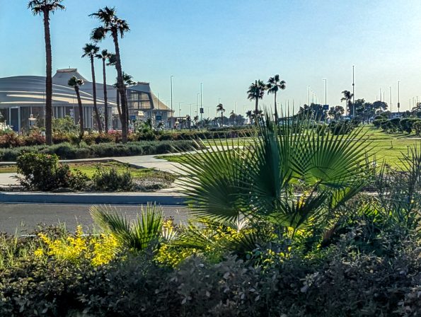 Corendon Direktflug nach Sharm El Sheikh, unser Erfahrungsbericht