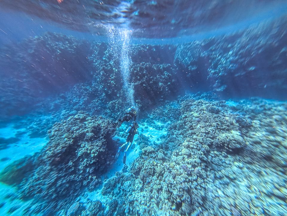 Corendon Direktflug nach Sharm El Sheikh, unser Erfahrungsbericht