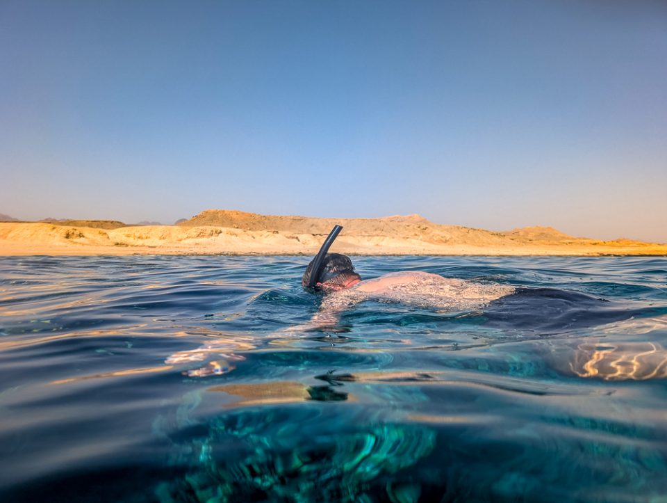 Aktivitäten in Sharm El Sheikh_Die schönsten Ausflüge, Erlebnisse und Tipps - Schnorcheln Rotes Meer