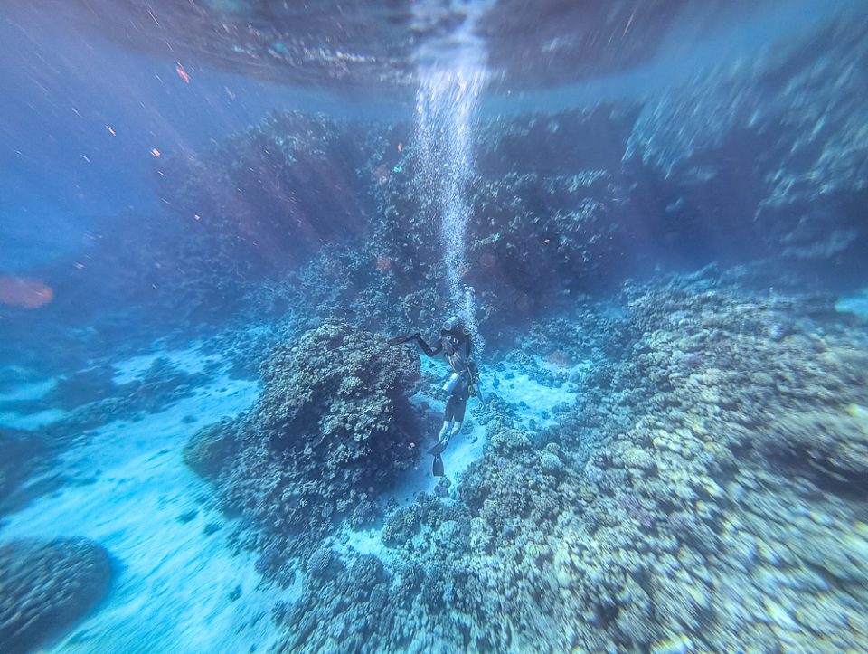 Aktivitäten in Sharm El Sheikh_Die schönsten Ausflüge, Erlebnisse und Tipps - Rotes Meer - Probe Tauchgang mit Tauchlehrer