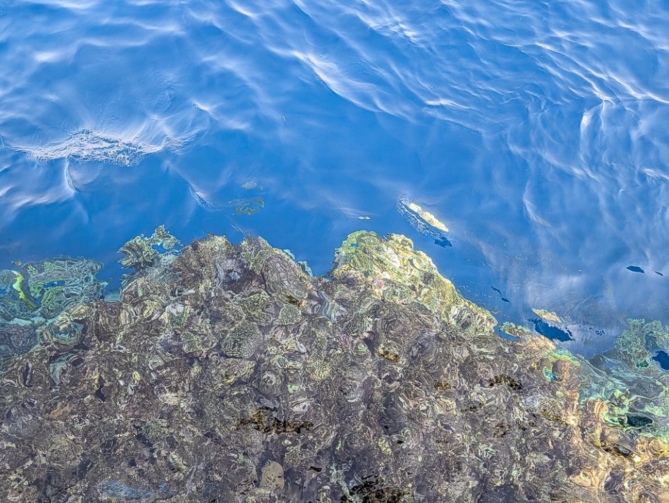 Aktivitäten in Sharm El Sheikh_Die schönsten Ausflüge, Erlebnisse und Tipps - Blick vom Steg des Hotels ins Rote Meer -Sharm El Sheikh Aktivitäten - Schnorcheln in Ägypten