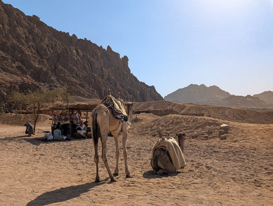 Aktivitäten in Sharm El Sheikh_Die schönsten Ausflüge, Erlebnisse und Tipps - Sinai Wüste