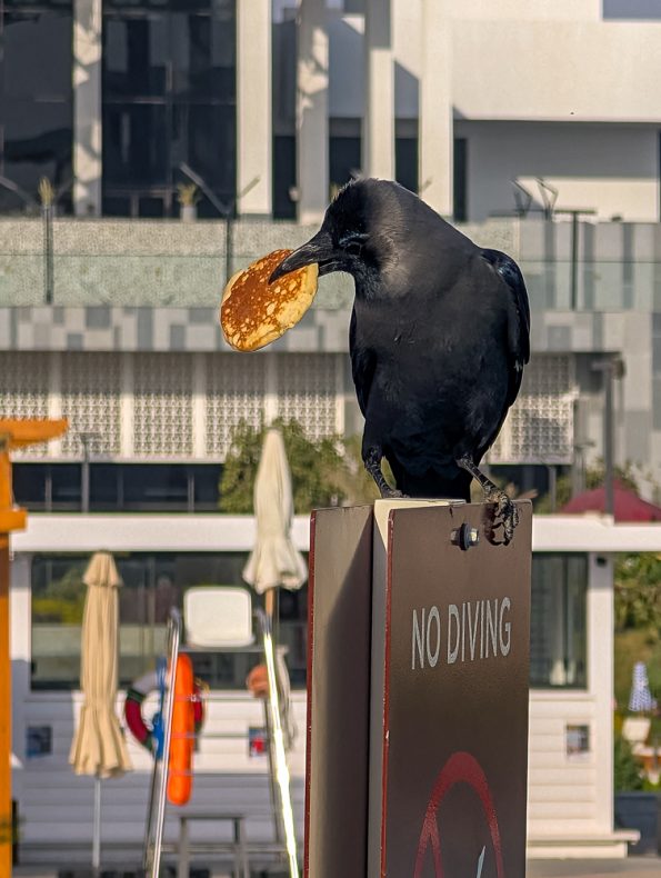 Rixos Radamis Sharm El Sheikh - Unser 4-Tage-Erlebnis zu zweit