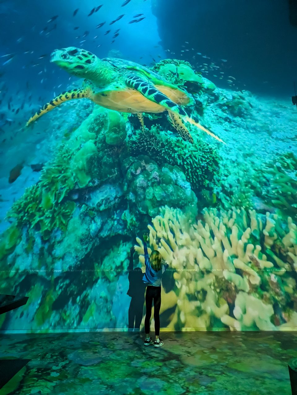 360 Grad Kino oder Planetarium mit Kindern bei Regen