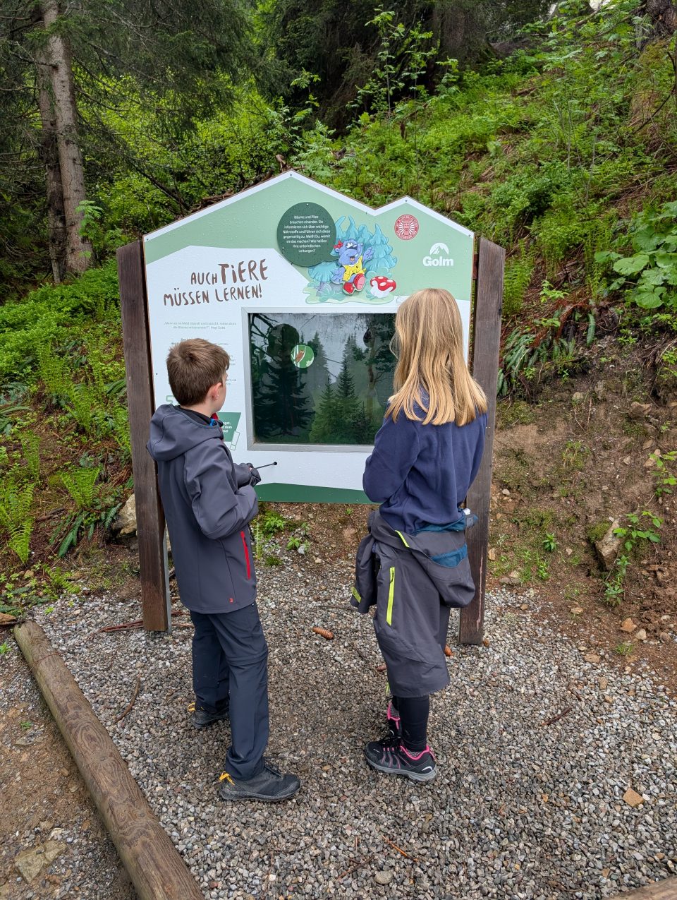 Kinder im Wald - Montafon Österreich