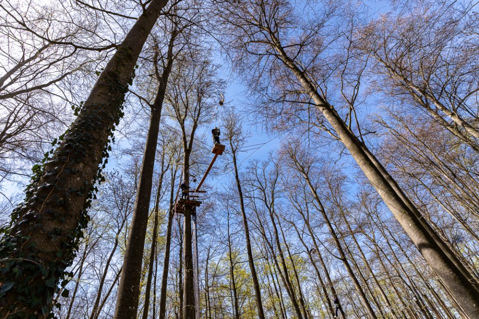 Hochseilgarten Plattformen zwischen hohen Bäumen