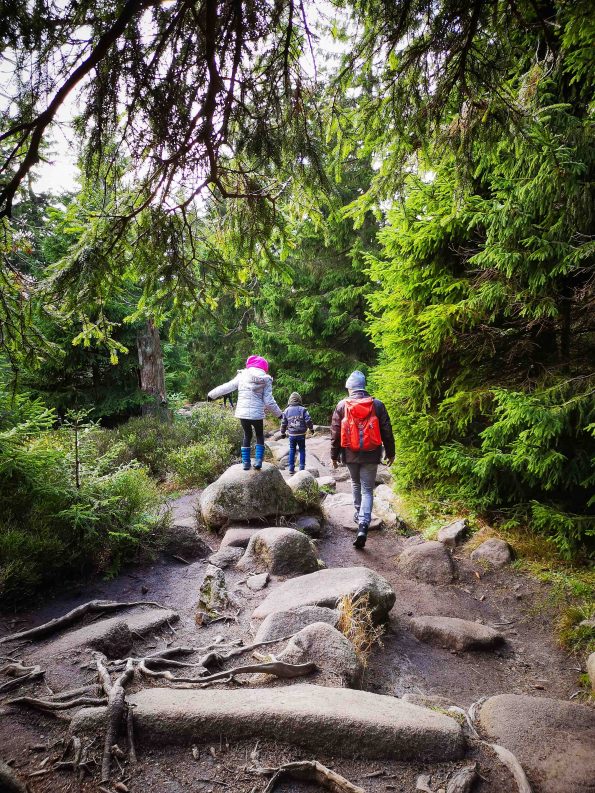 Familie wandert mit Kindern im Wald beim Kurzurlaub in Deutschland