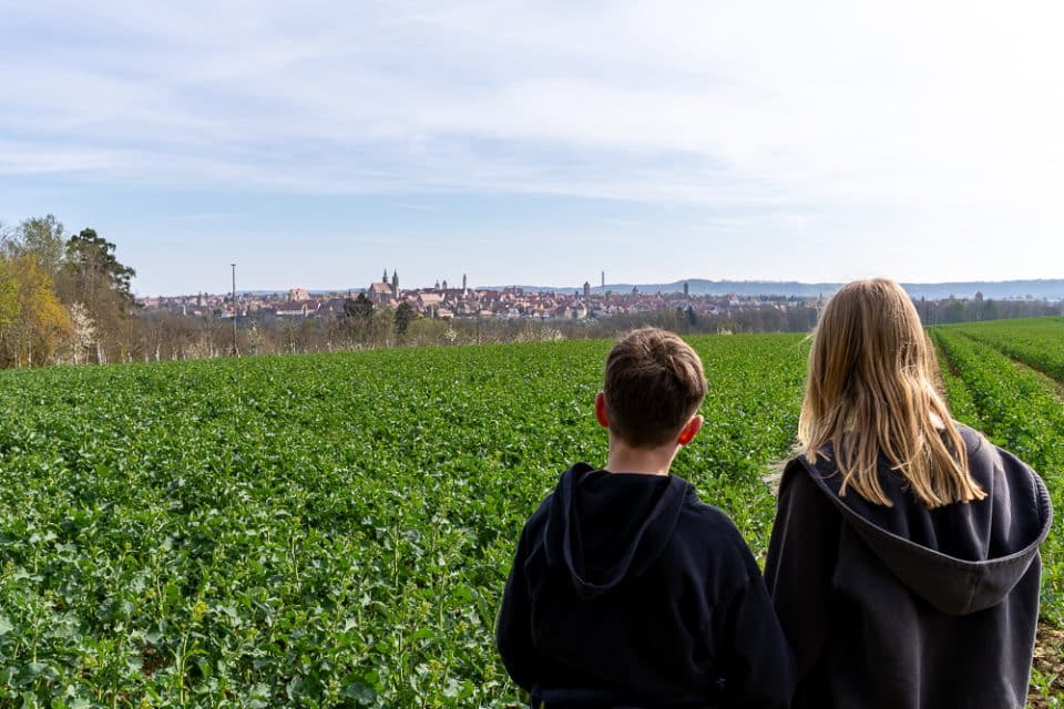 Kinder schauen über ein Feld auf Rothenburg ob der Tauber