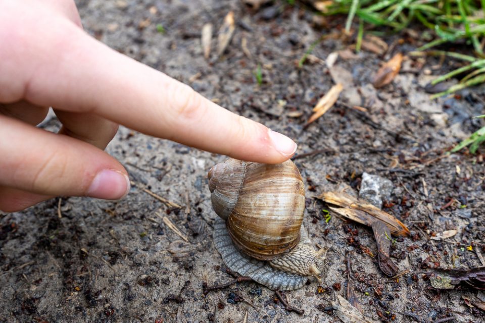 Kind zeigt auf eine Schnecke am Boden