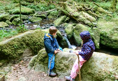 Kinder in der Monbachtalschlucht im Scharzwald