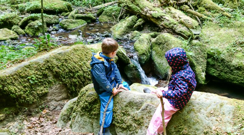 Kinder in der Monbachtalschlucht im Scharzwald