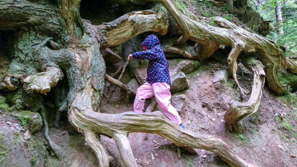 Kinder wandern im Monbachtal