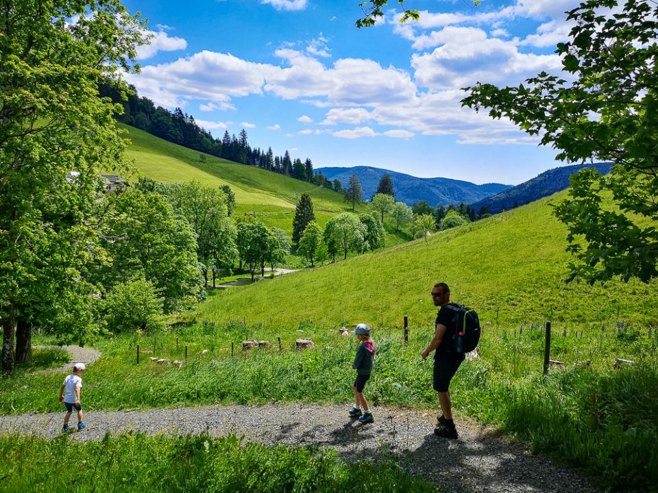 Wandern im Schwarzwald zu den Todtnauer Wasserfällen
