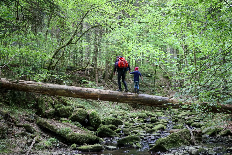 Wandern in der Monbachtalschlucht, Schwarzwald mit Kindern