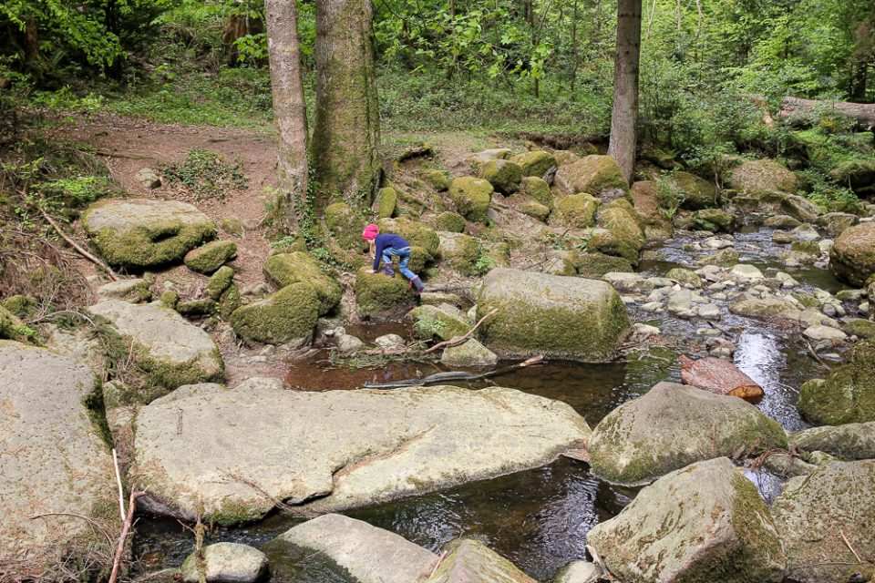 Wandern mit Kindern in der Monbachtalschlucht