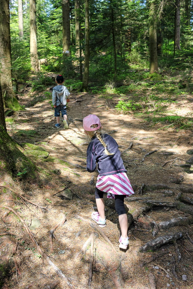 Trollpfad mit Kindern im Schwarzwald in Kaltenbronn