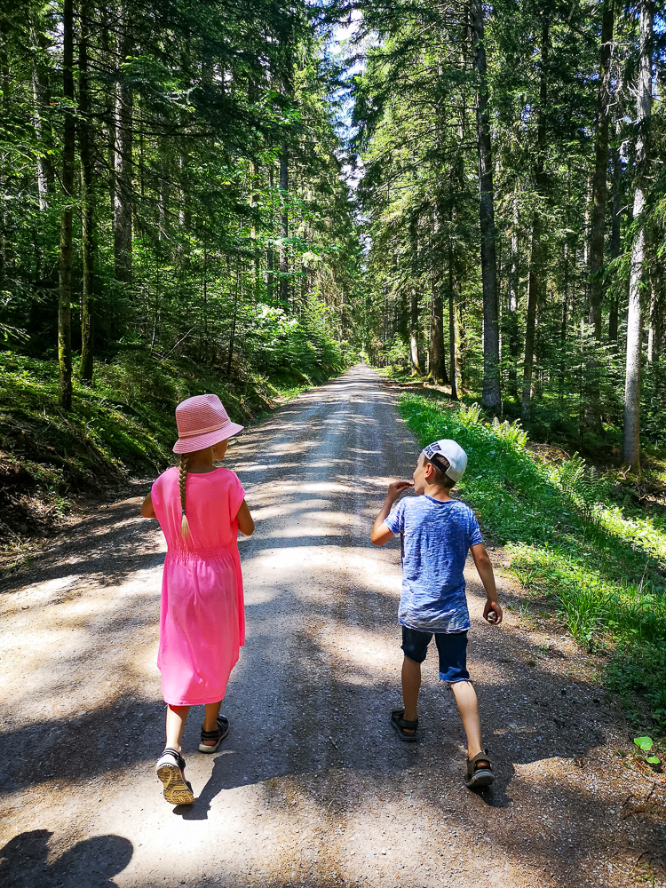 Kinder wandern im Schwarzwald