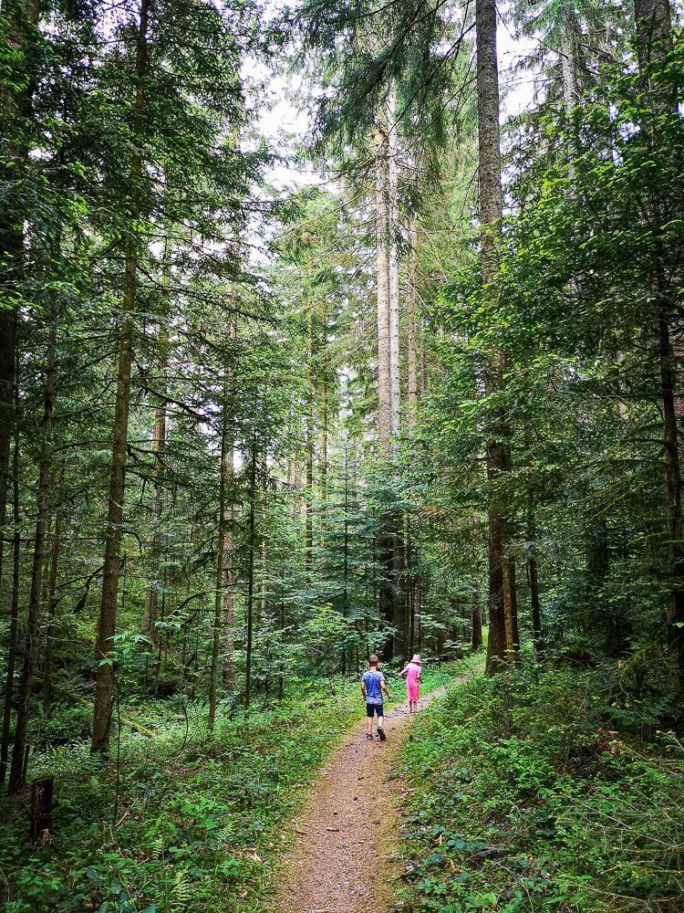 Schwarzwald mit Kindern - Wanderung