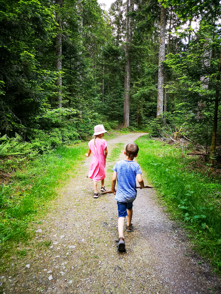 Kinder wandern zur Großvatertanne im Schwarzwald
