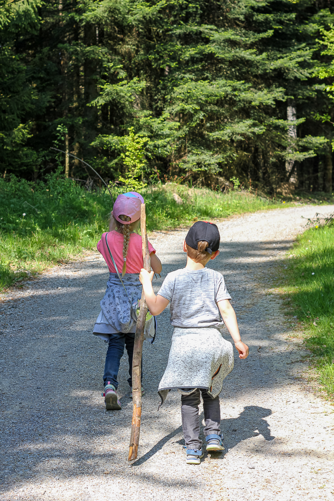 Wandern mit Kindern im Schwarzwald