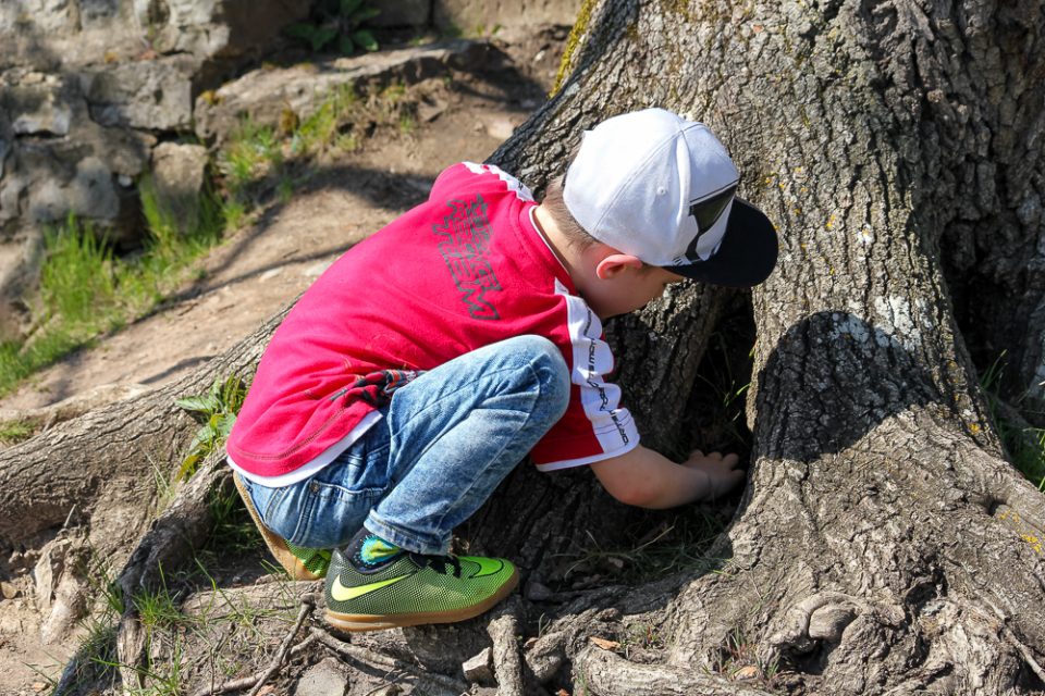 Kind spielt an der Burgruine Nagold
