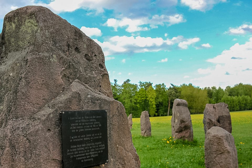 Wandern im Schwarzwald - Steinkreis im Schömberg