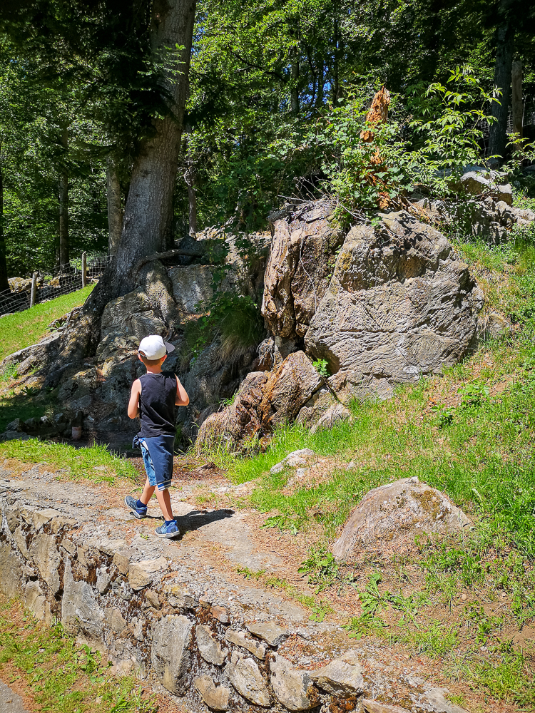 Schwarzwald mit Kindern