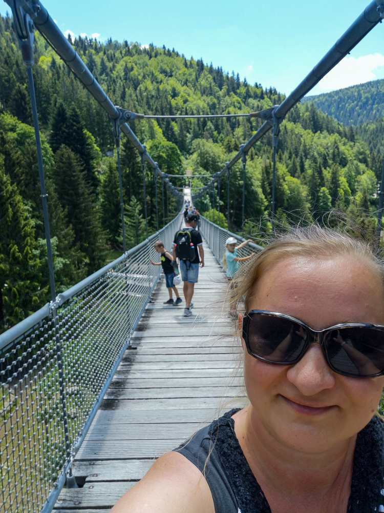 Hängebrücke im Steinwasenpark im Schwarzwald