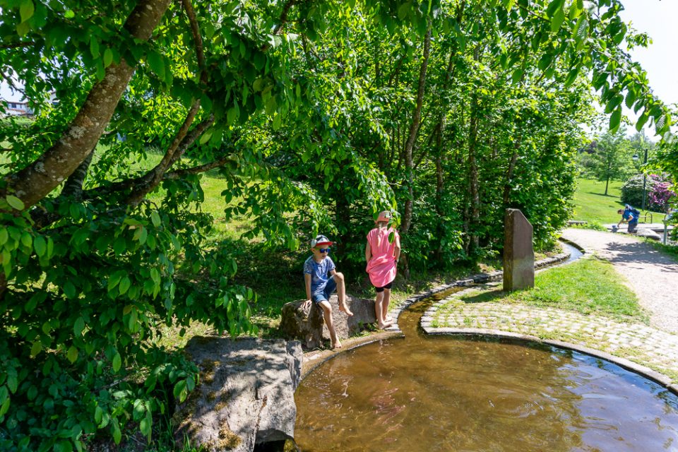 Wasser im Zauberwald Loßburg