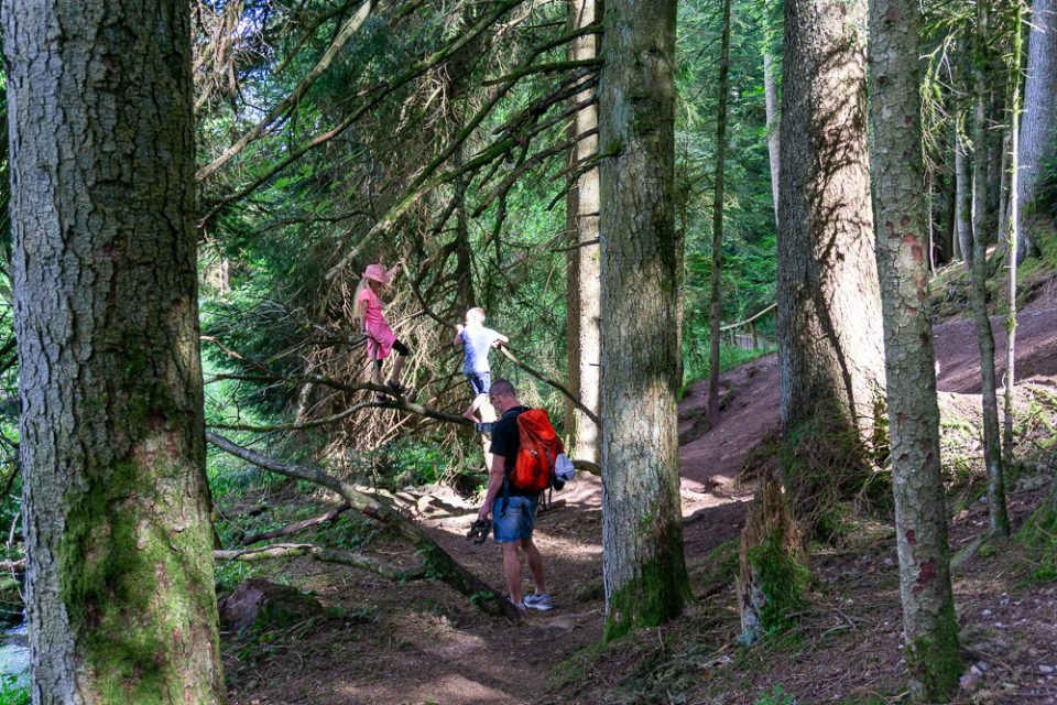 Zauberwald Loßburg - Schwarzwald mit Kindern
