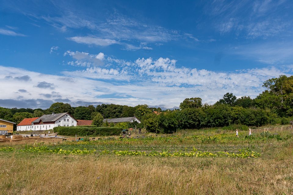 Weitläufige Anbauflächen und Hofgebäude von Årstiderne Krogerup