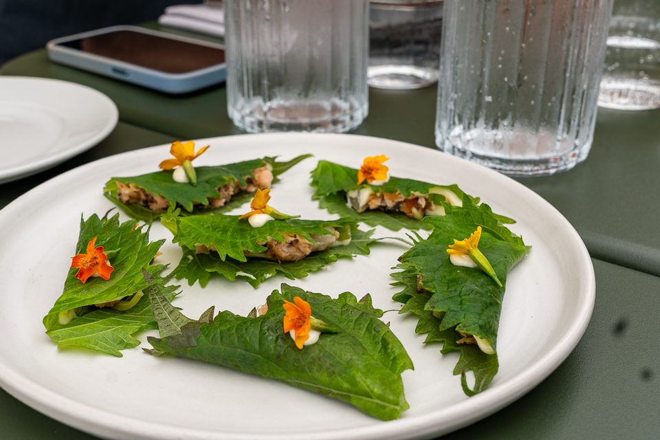 Vorspeise im Restaurant Sletten auf grünen Blättern mit essbaren Blüten