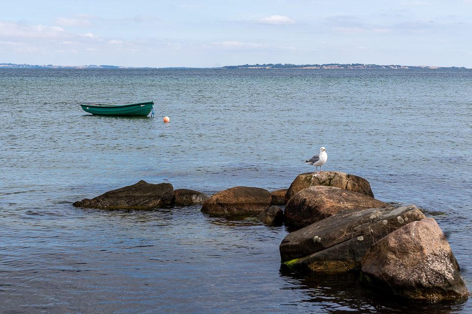 Küste von Sletten mit Felsen, Möwe und kleinem Boot im Øresund