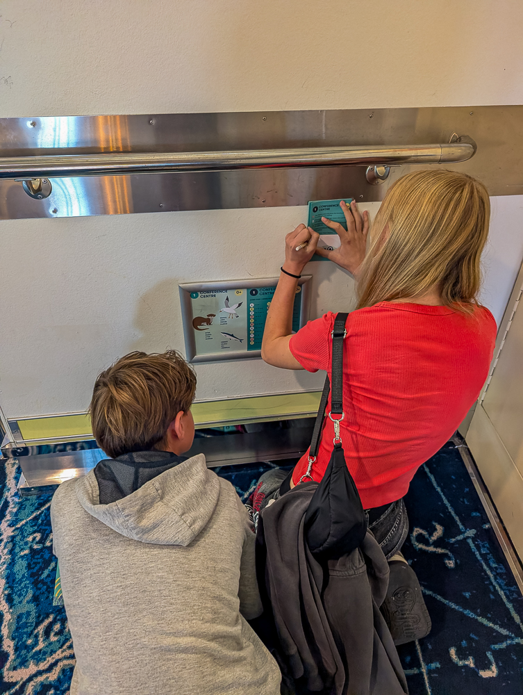 FriendShip - Suche nach den Antworten - Silja Symphony Tallink Silja