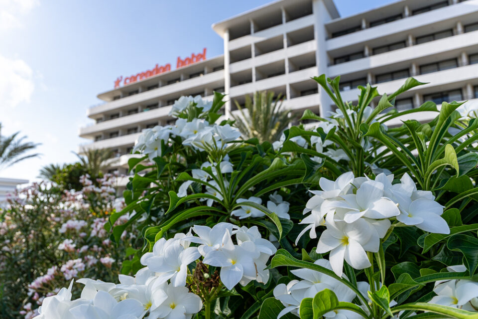 Tropische Blumen auf dem Gelände des Mangrove Beach Corendon